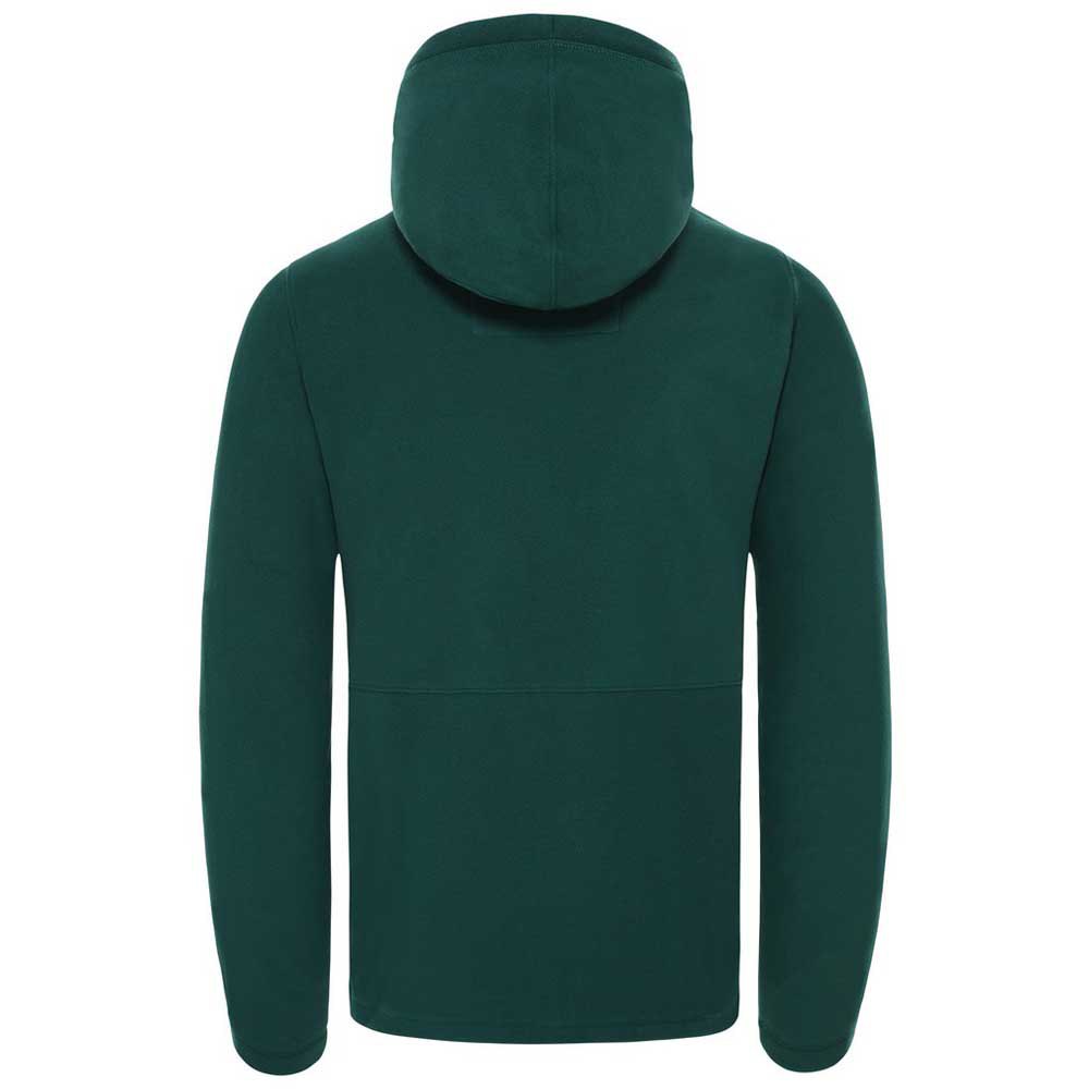 The north face Blocked TKA 100 Hoodie