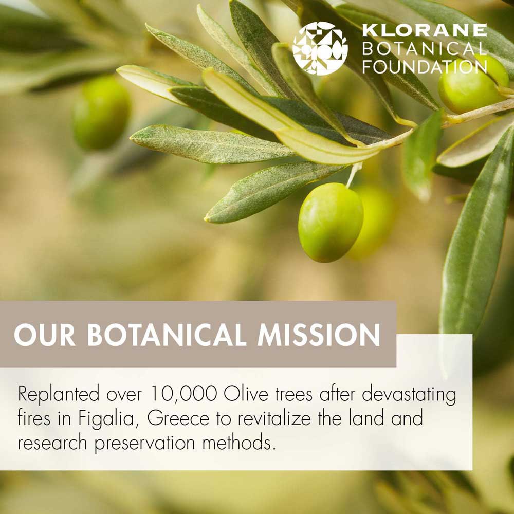 Klorane Balsamo olivo 200ml Conditioner