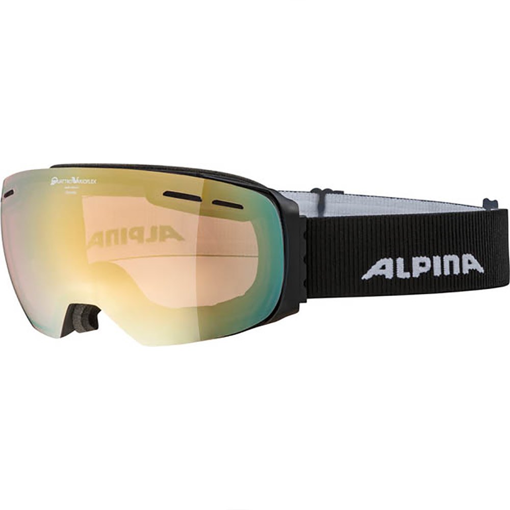 お得なキャンペーンを実施中 アルピナ Alpina マスクとゴーグル スキー 