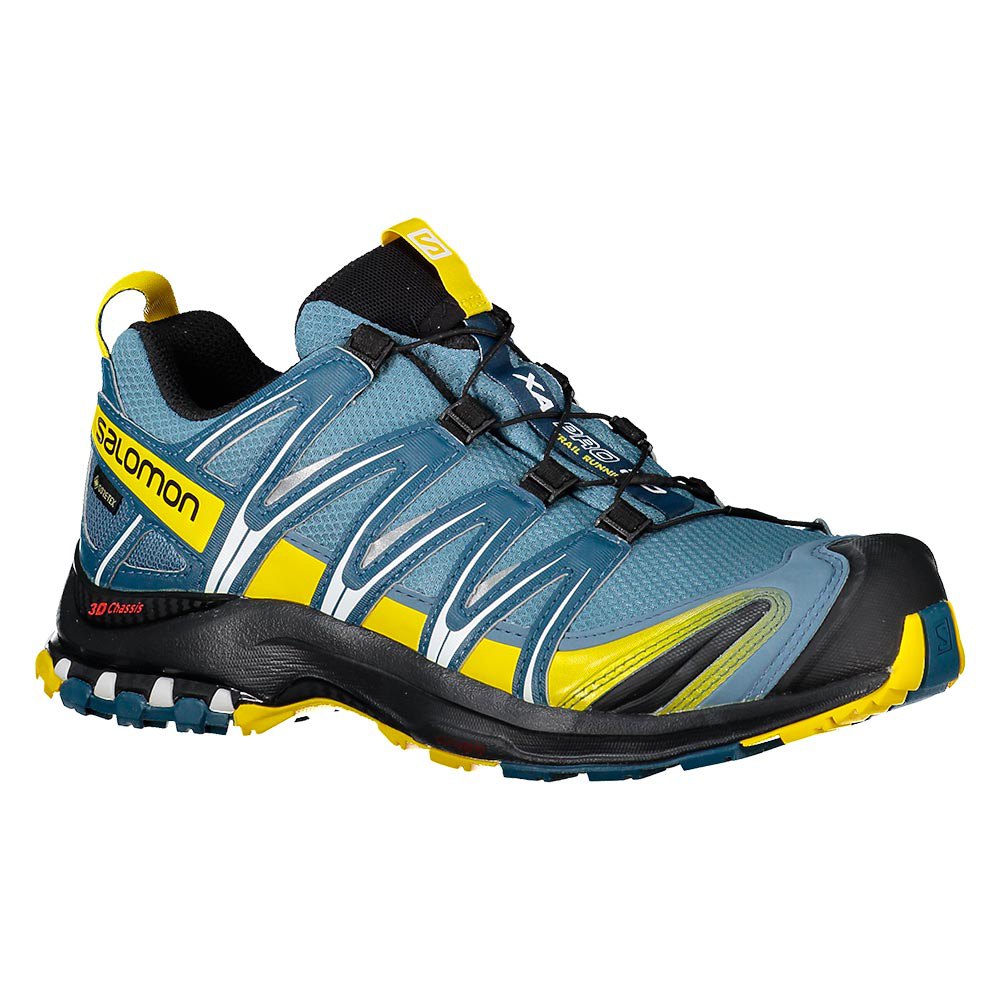 Saai schoenen Mand Salomon XA Pro 3D Goretex Trail Running Shoes Blue | Runnerinn