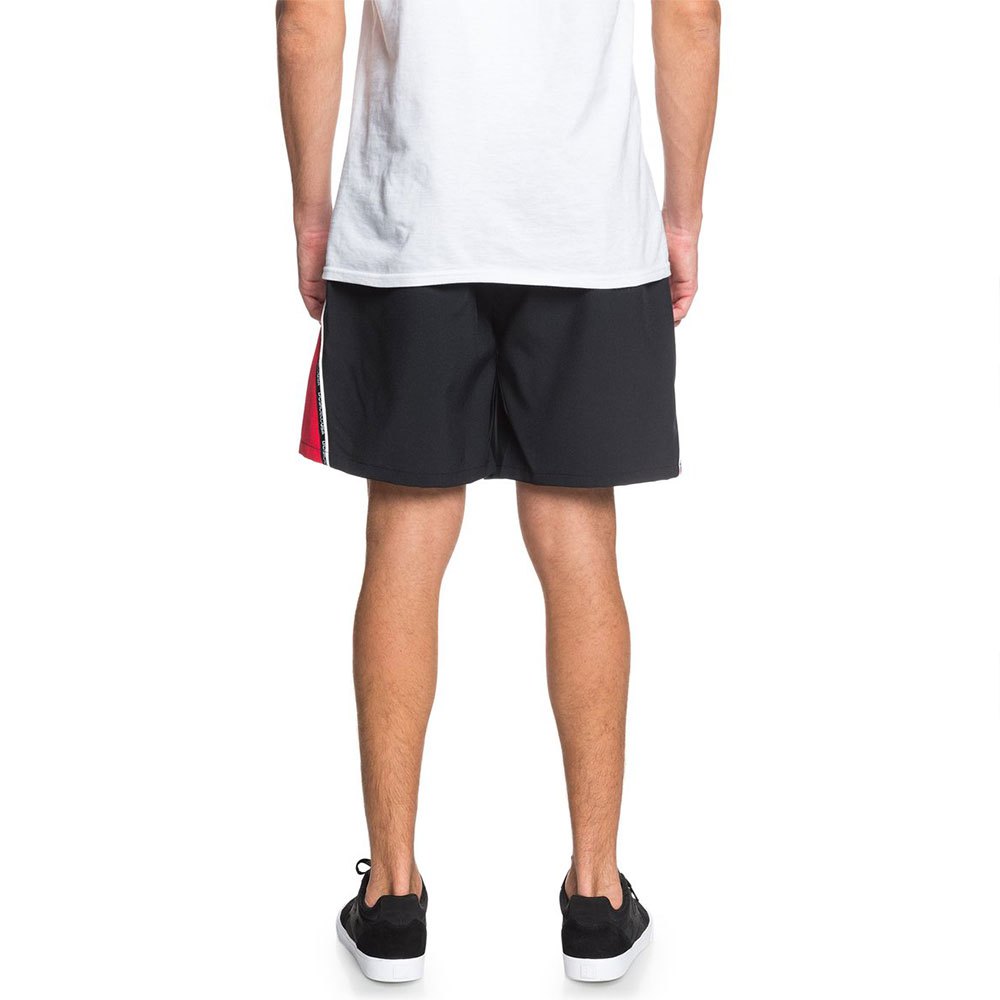 Dc shoes Shorts Towback 18