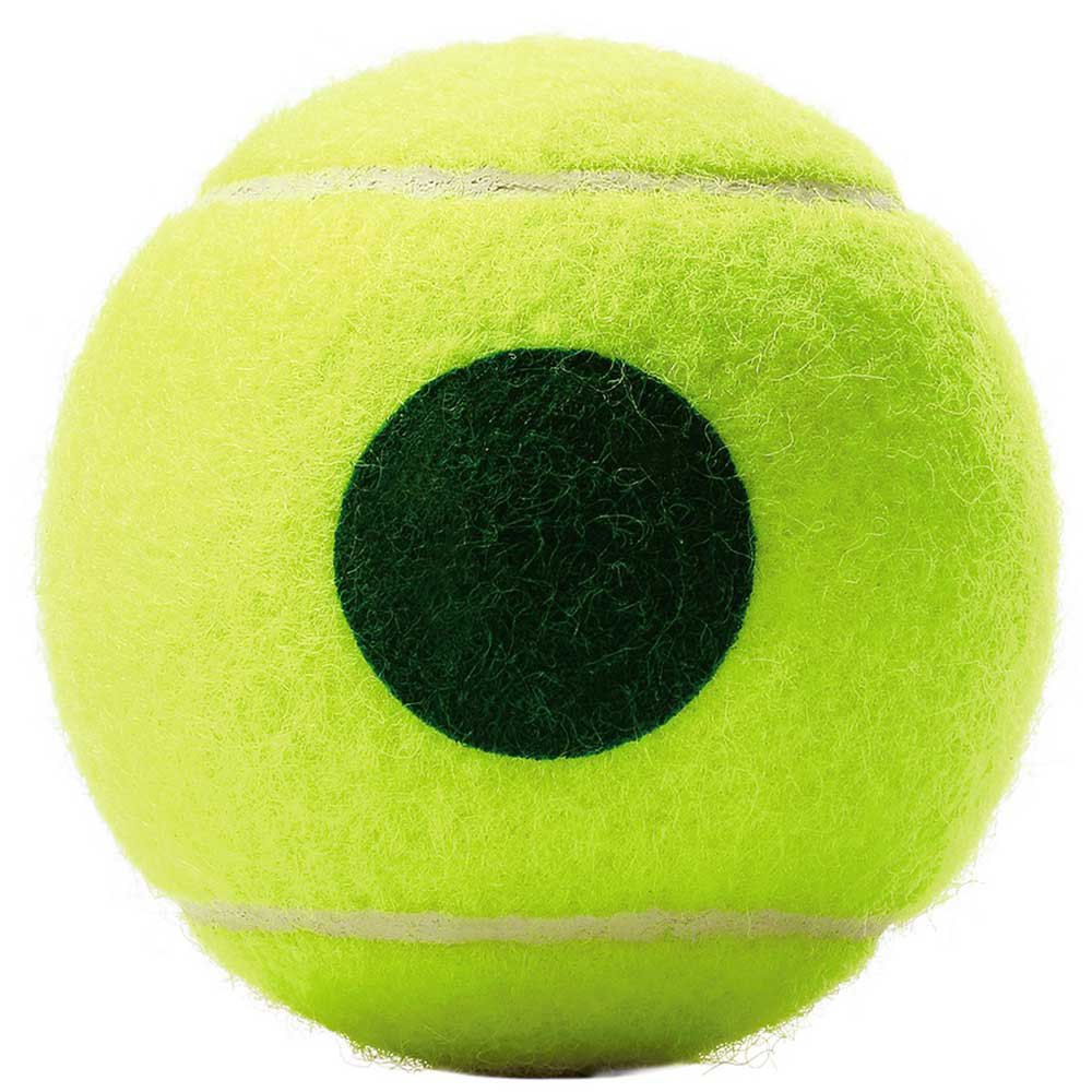 Wilson Pelotas Tenis Roland Garros