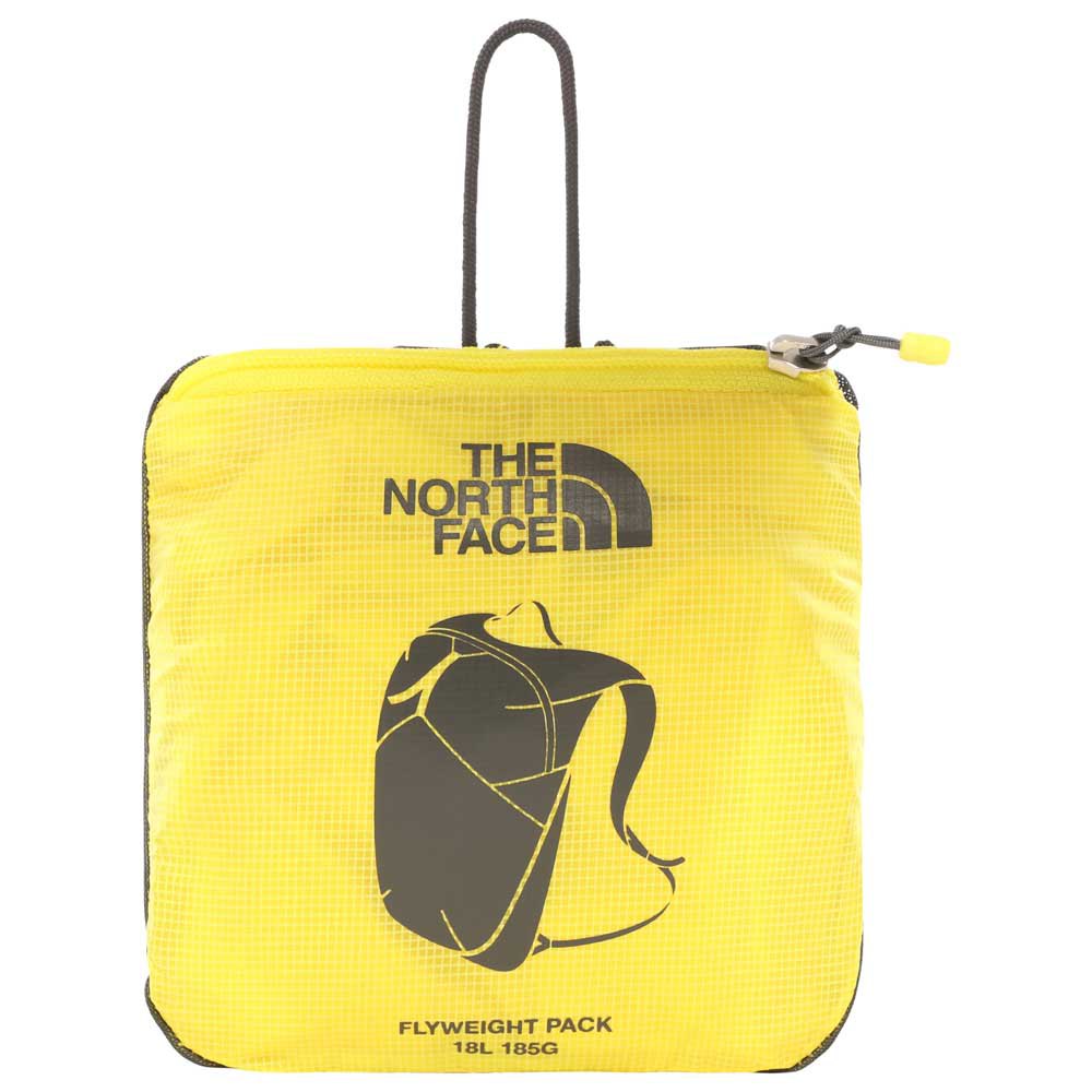 The north face Flyweight 17L Backpack