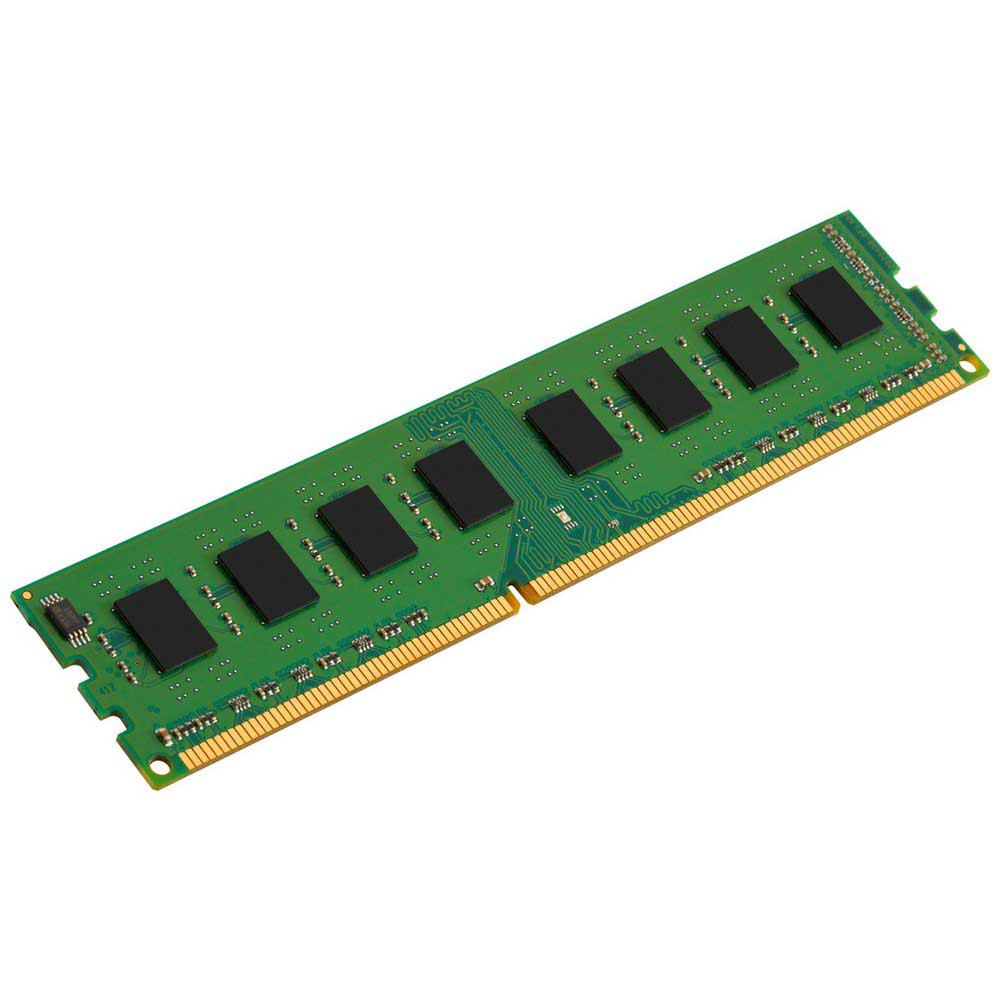 Bliv såret Faial Vidunderlig Kingston RAM-hukommelse KVR16N11H 1x8GB DDR3 1600Mhz Grøn| Techinn