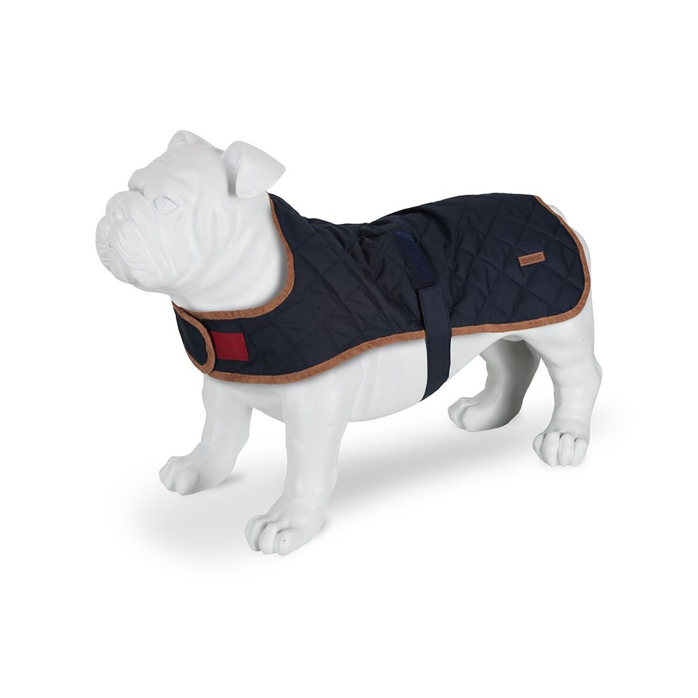 Regatta 犬のジャケット Odie