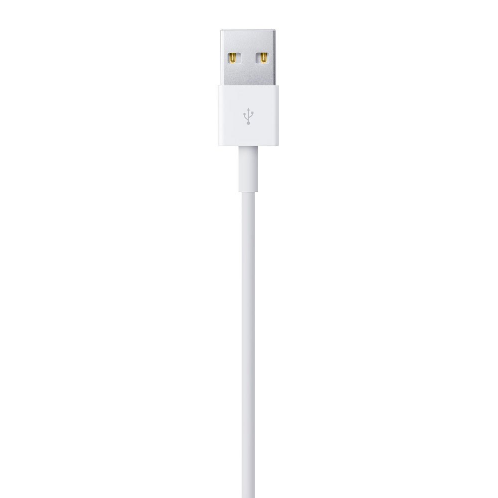 Apple Para Cabo USB Lightning 1
