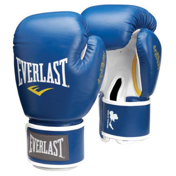 everlast-equipment-muay-thai-leather-combat-gloves