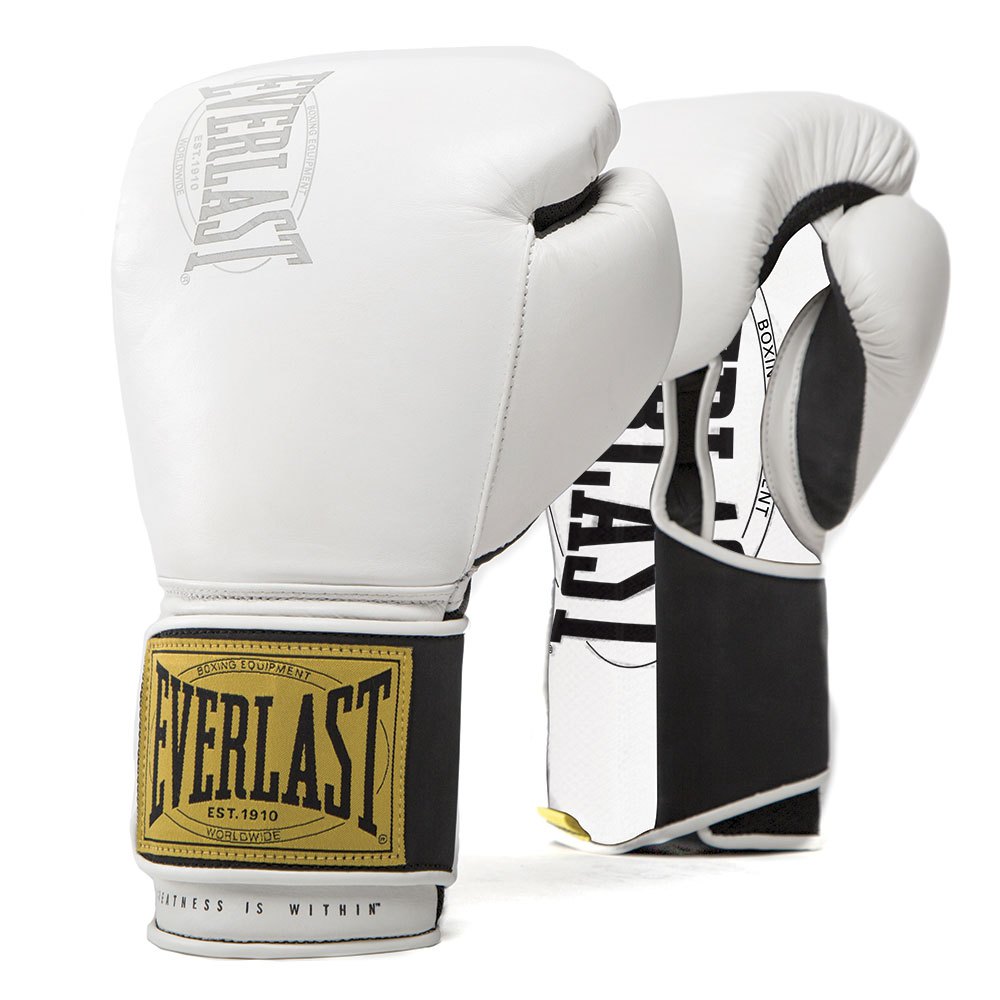 Everlast 1910 Pro Fight Gloves 