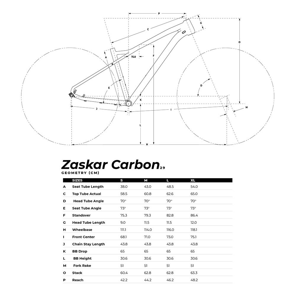 GT Bicicleta MTB Zaskar Carbon Expert 29 2020