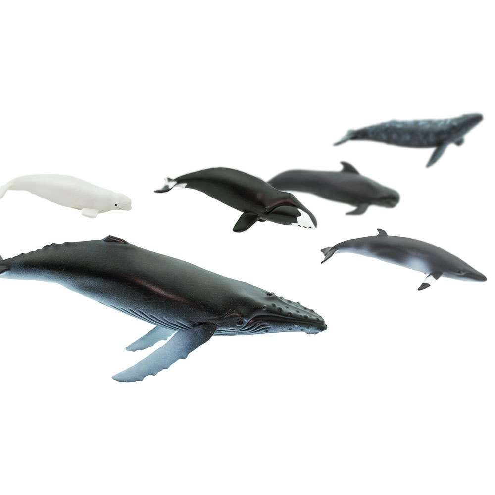Nuevo conjunto de 10 Animales de Juguete ballenas Toob criaturas marinas estatuillas de mamíferos marinos 