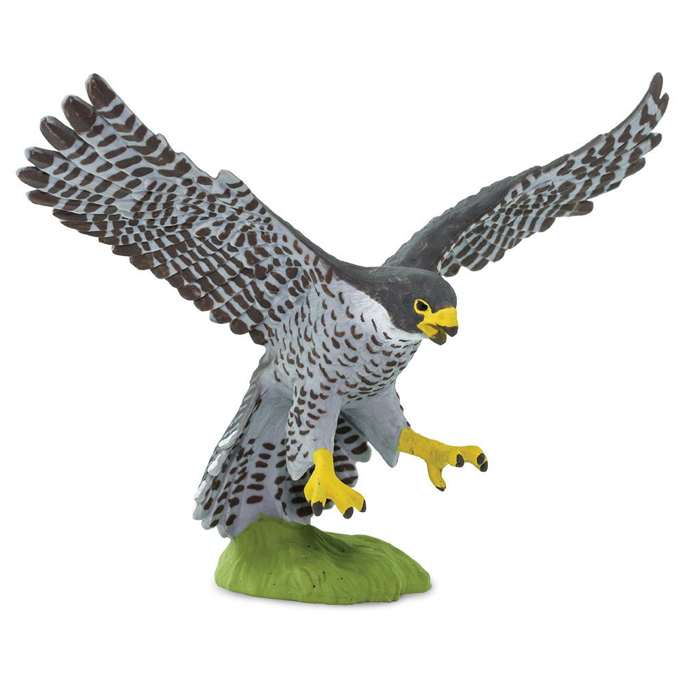 safari-ltd-figurine-faucon-pelerin