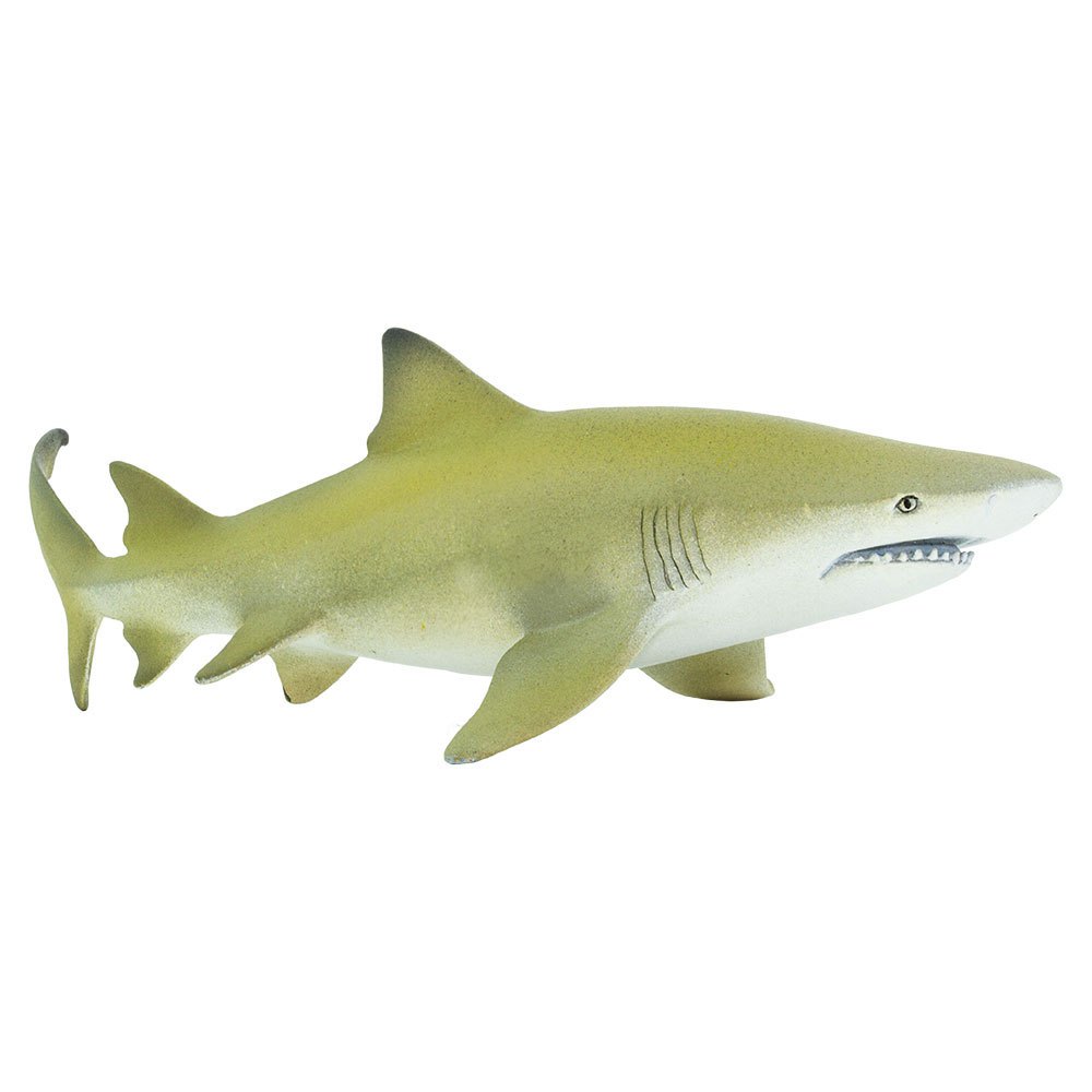 Safari ltd Lemon Shark Figuur