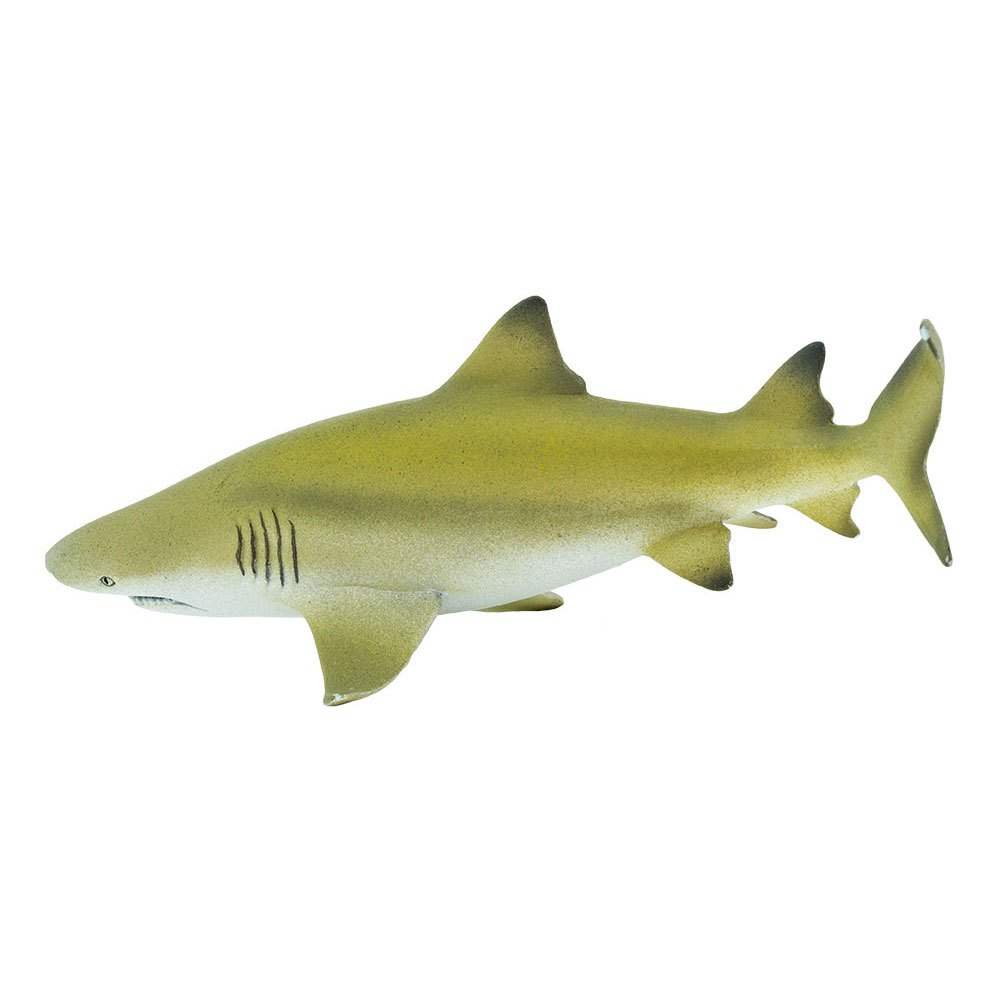 Safari ltd Chiffre Lemon Shark
