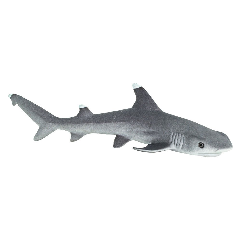 safari-ltd-whitetip-reef-shark-figuur