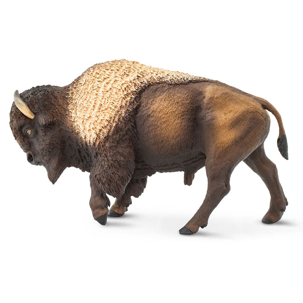 safari-ltd-figura-bufalo-americano