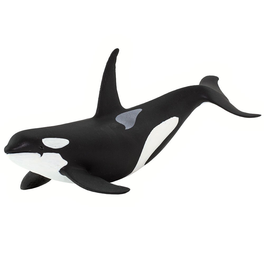 Safari ltd Orca Figur