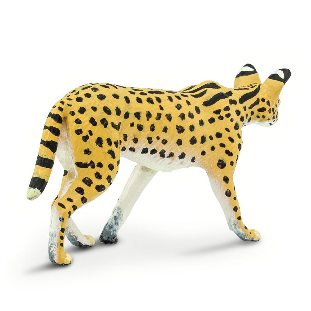 Safari ltd Chiffre Serval