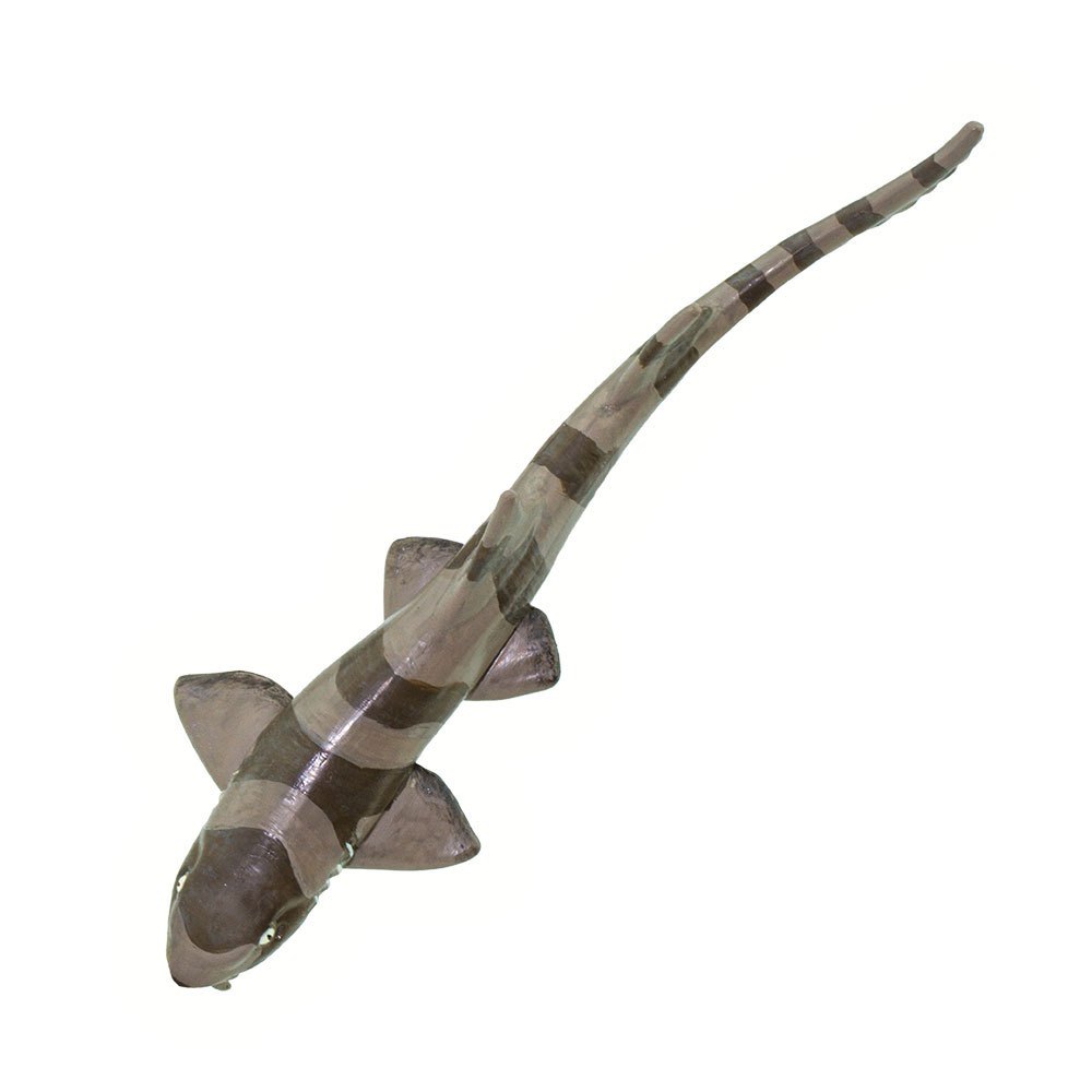 Safari ltd Figura Bamboo Shark