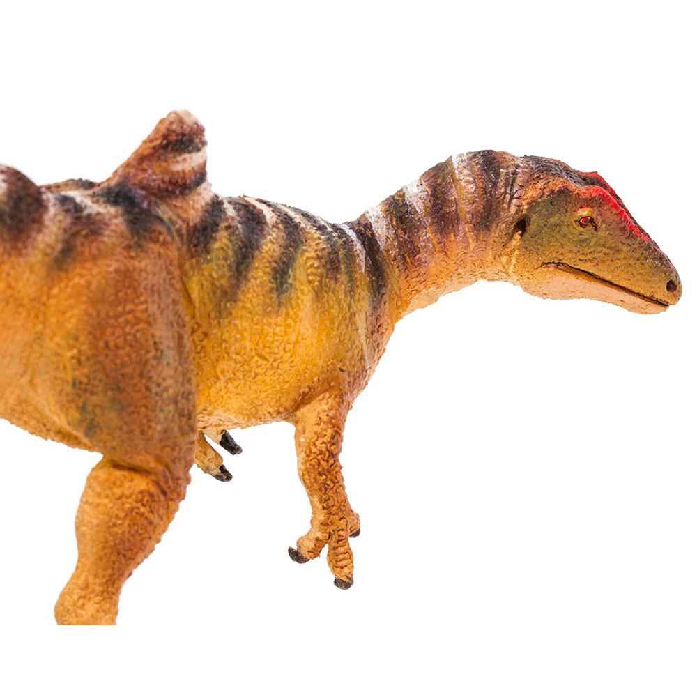 Details about   Safari Ltd Dinosaur Concavenator Figure Toy 100355 New Free Ship 