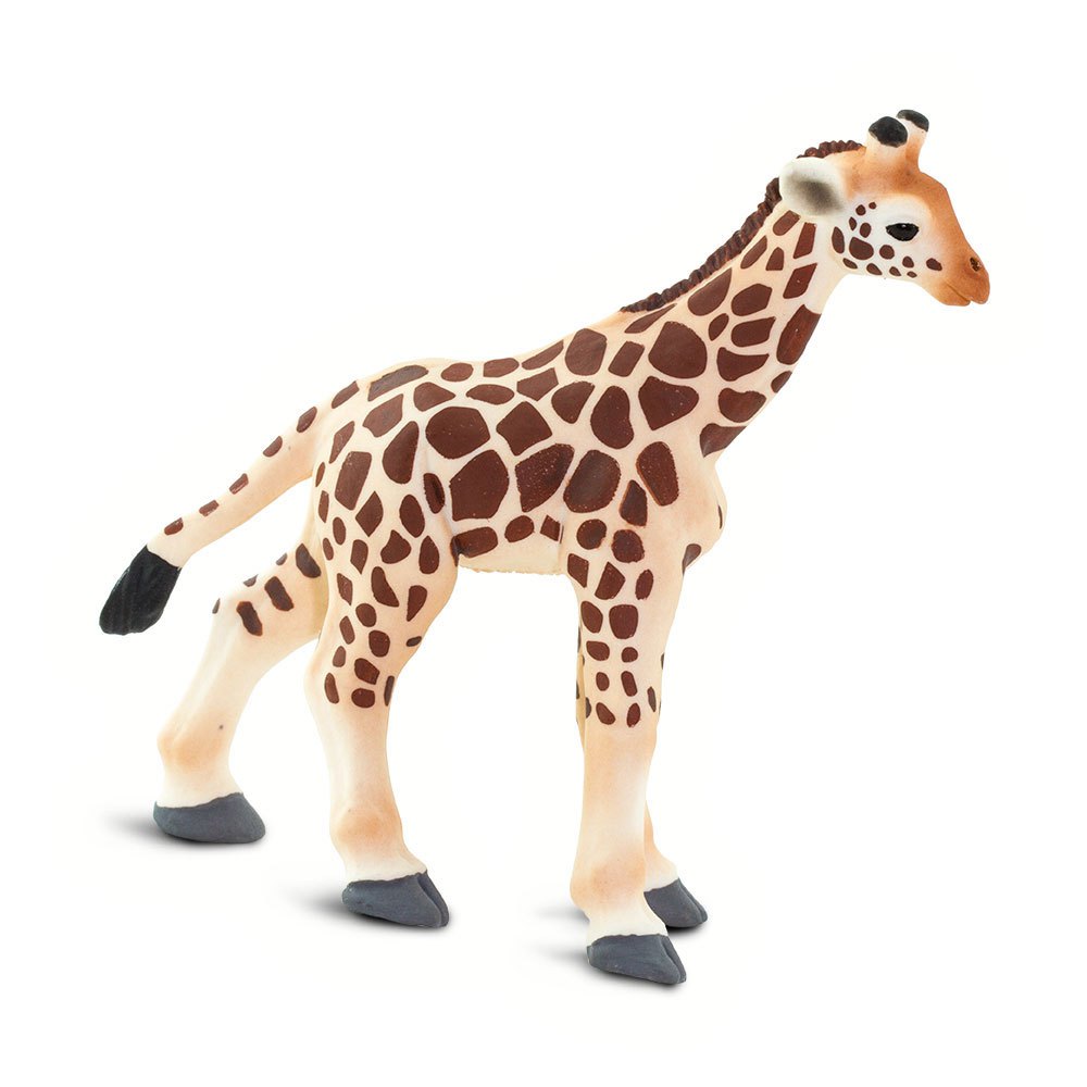 Safari ltd Figurine Bébé Girafe