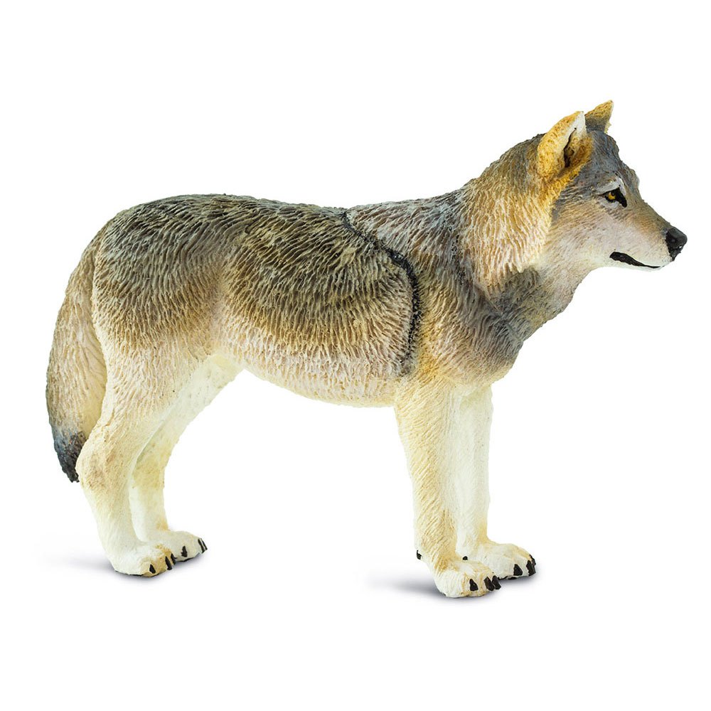 Safari ltd Graue Wolfsfigur