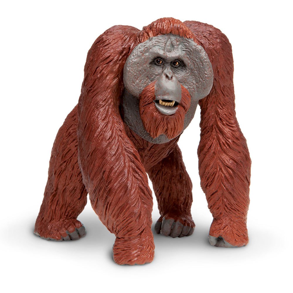 Borneo orangután nuevo modelo de mamíferos detallada de Plástico Juguete por Safari Ltd 13 X 13cm 