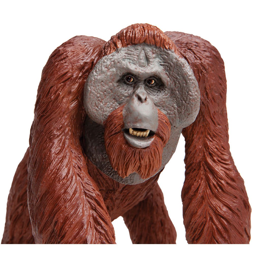 Schleich Orangutan Young Collectible Figure 