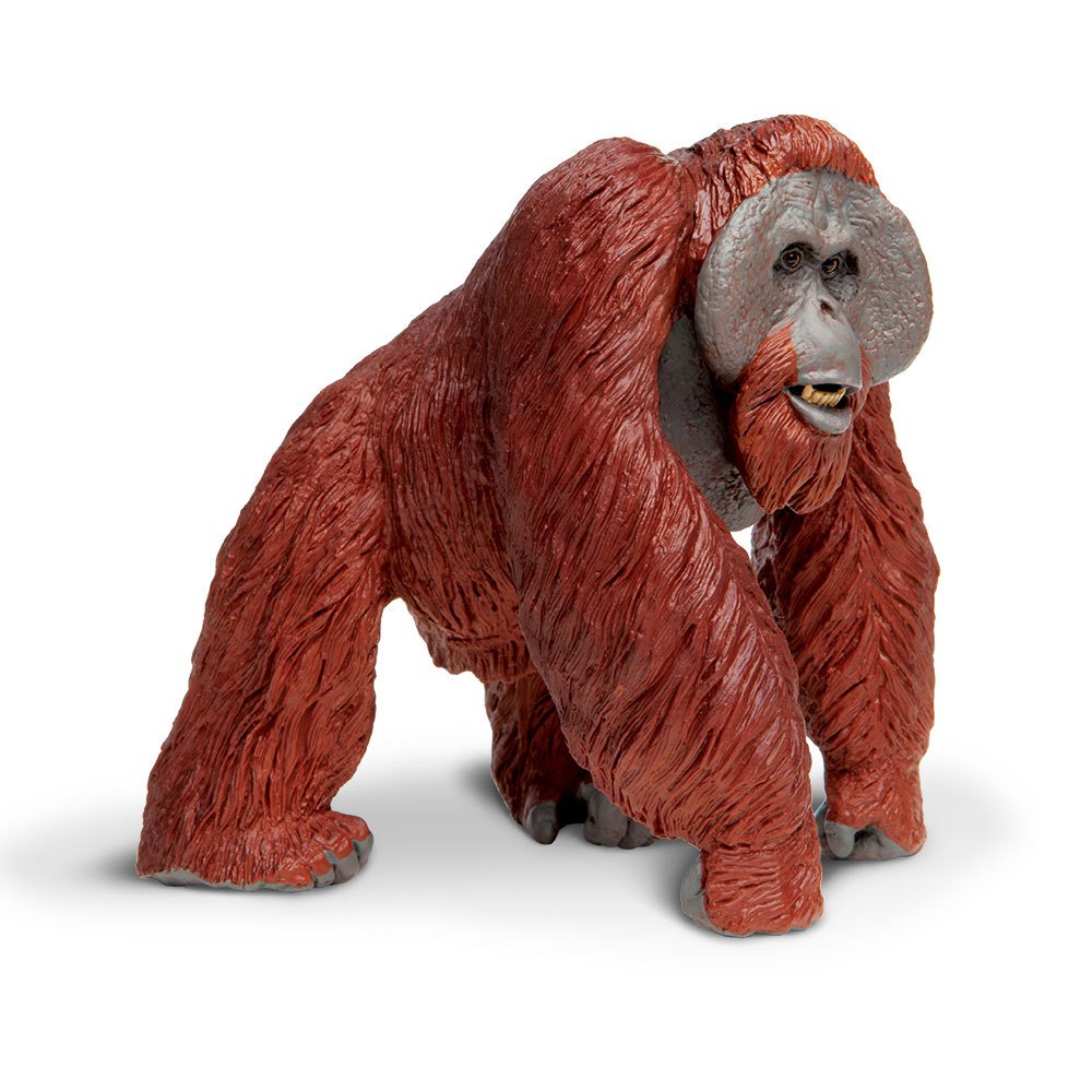 BORNEO ORANGUTAN  new detailed plastic mammal model  toy by Safari Ltd 13 x 13cm 