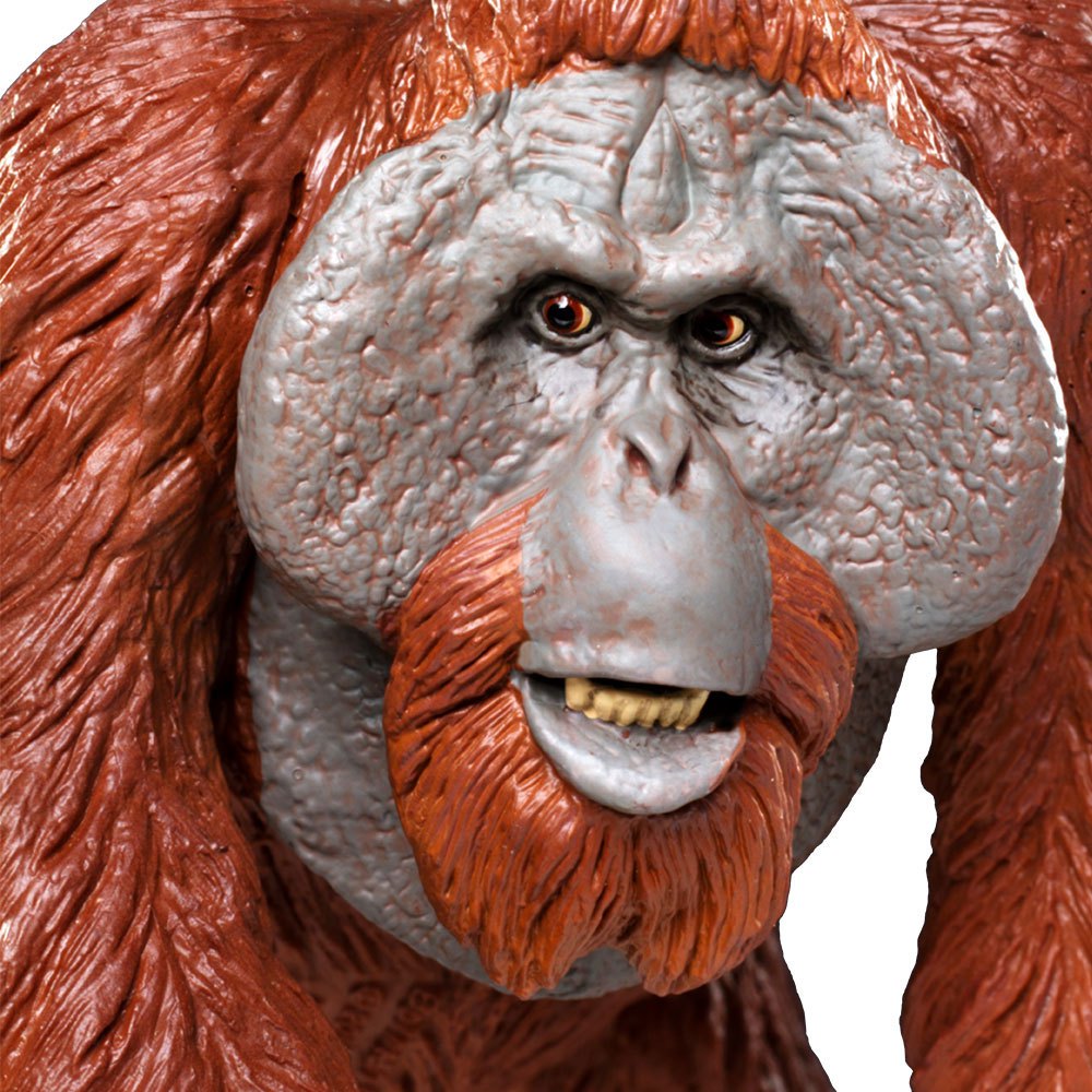 Action Figures Safari Ltd Wildlife Wonders Bornean Orangutan for sale online 