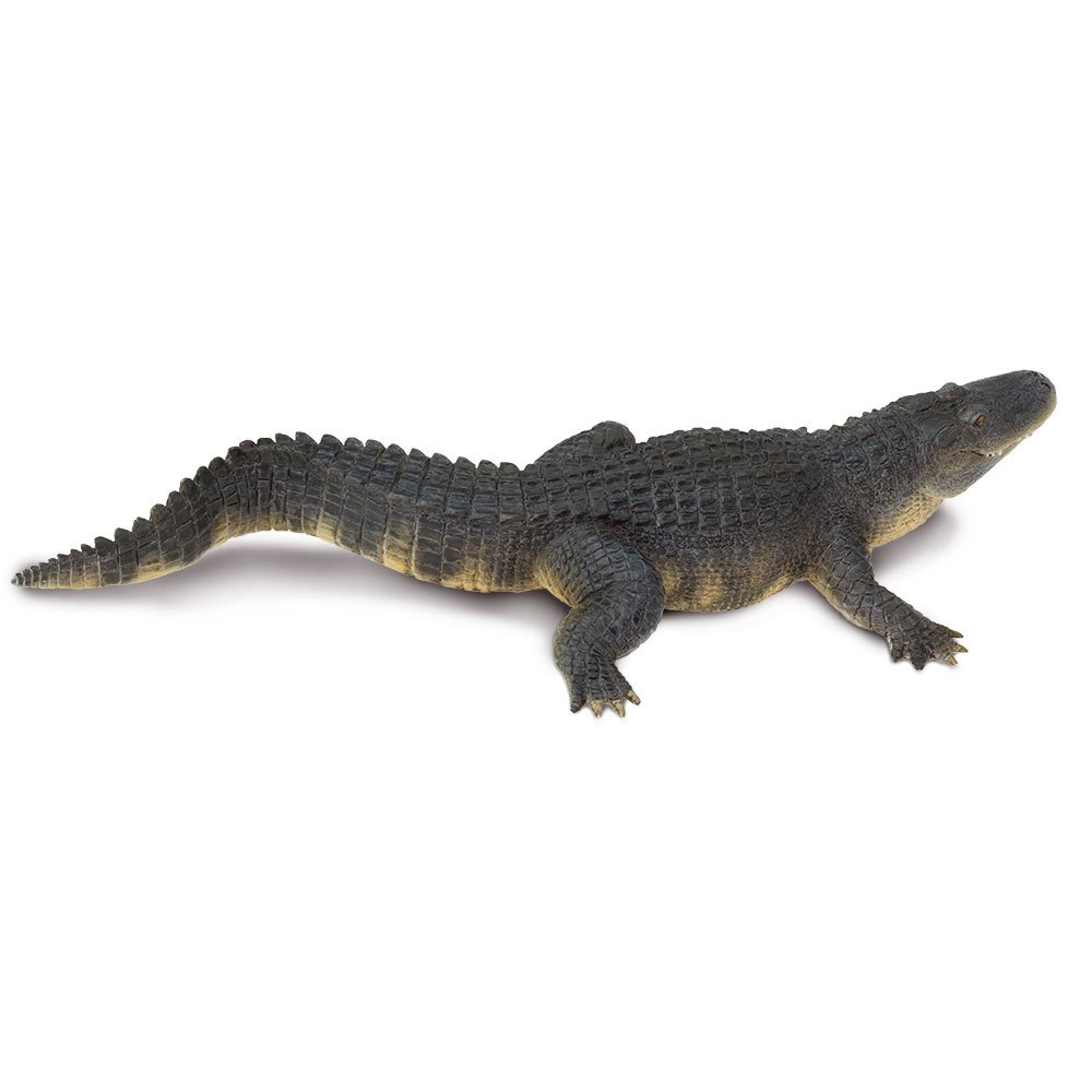 Safari ltd Figurine Alligator