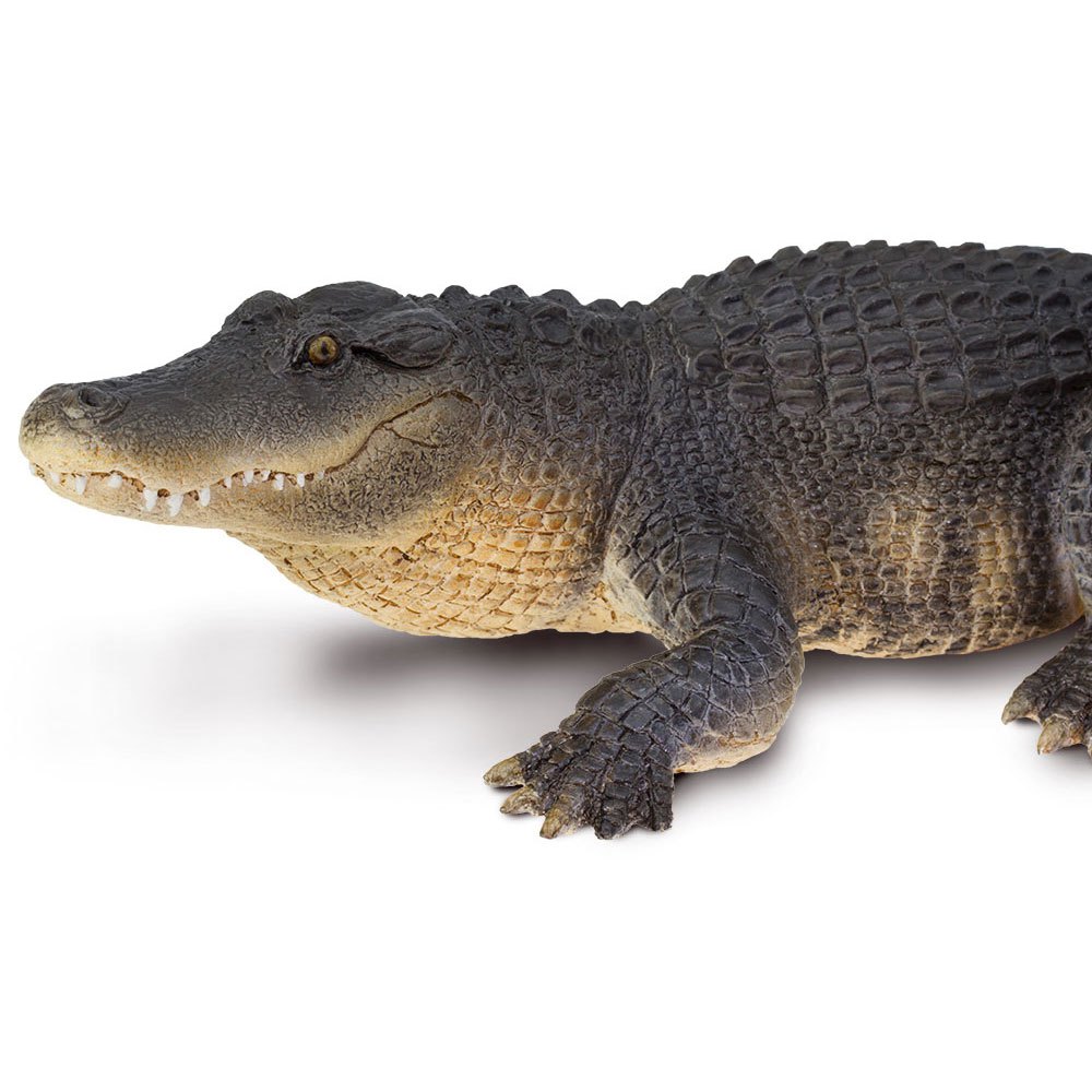 Safari ltd Alligator-Figur