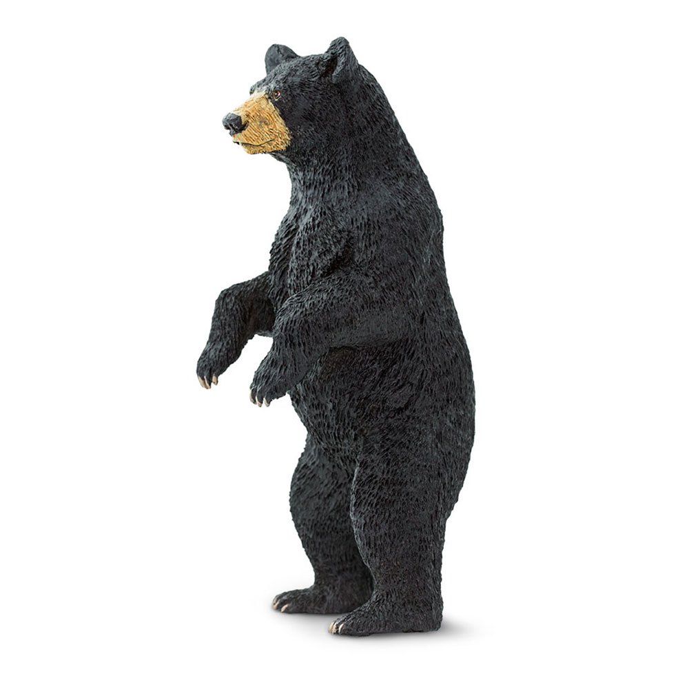 Details about   Safari Ltd 27352 beautiful detailed collectible 4 in long Black bear figurine 