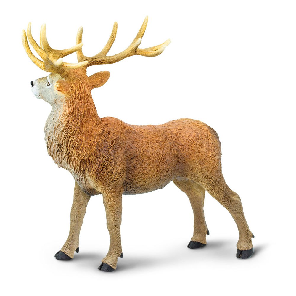 Safari ltd Figurine Red Deer Buck