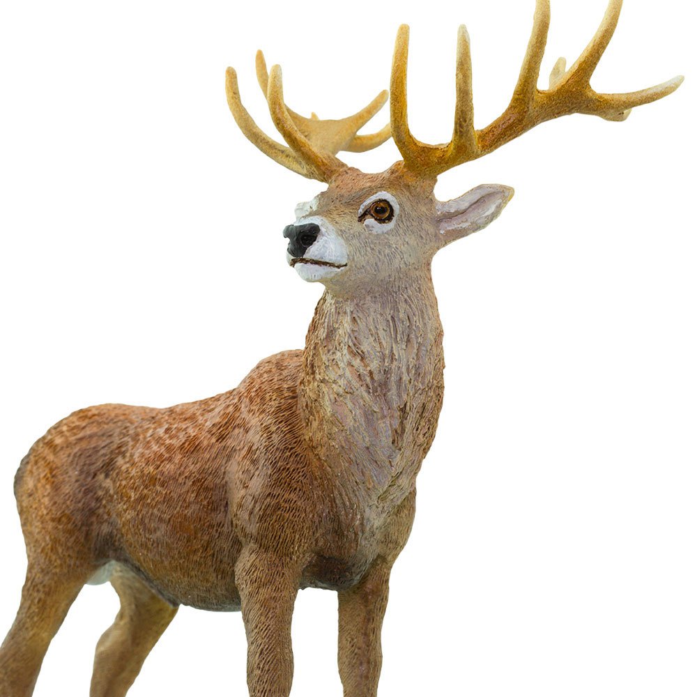 Safari ltd Figurine Red Deer Buck