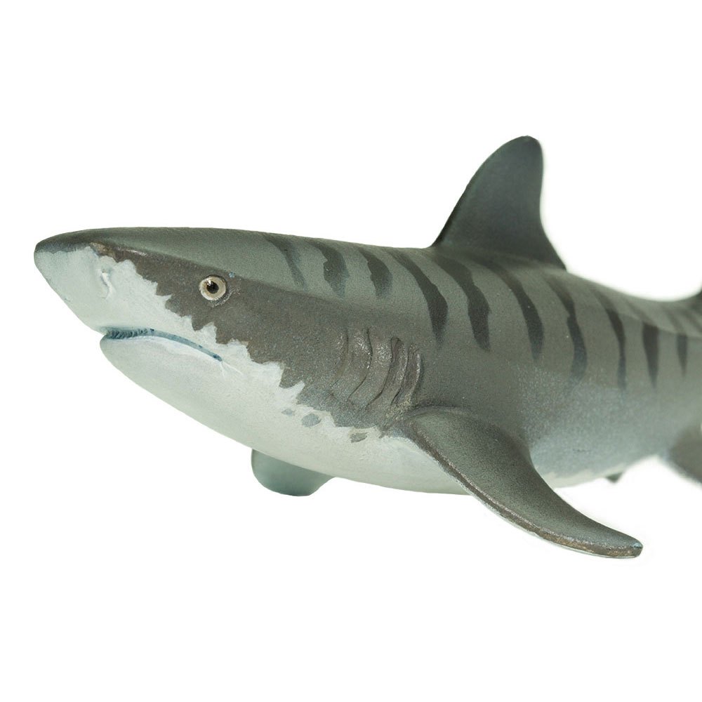 Requin Pèlerin Sealife jouet modèle par Safari Ltd 223429 nouveau avec étiquette * 