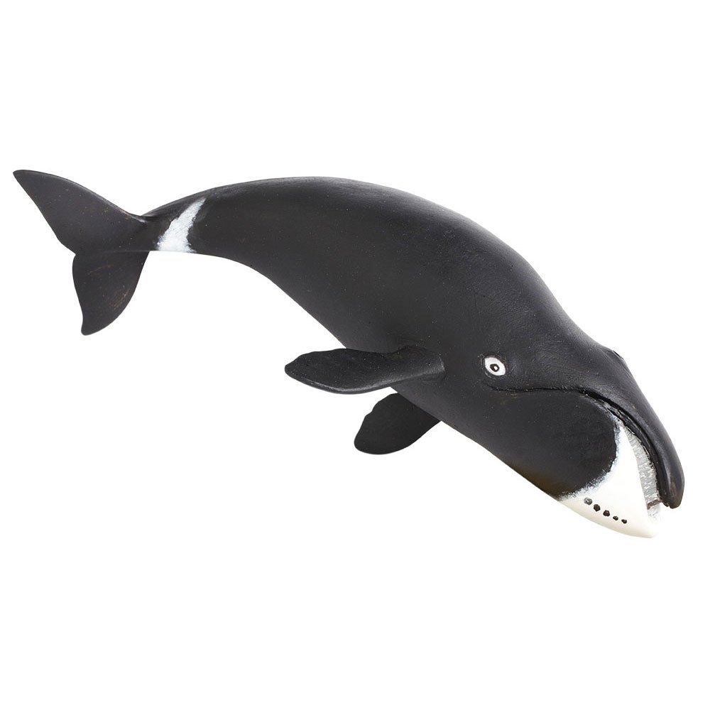 safari-ltd-karakter-bowhead-whale