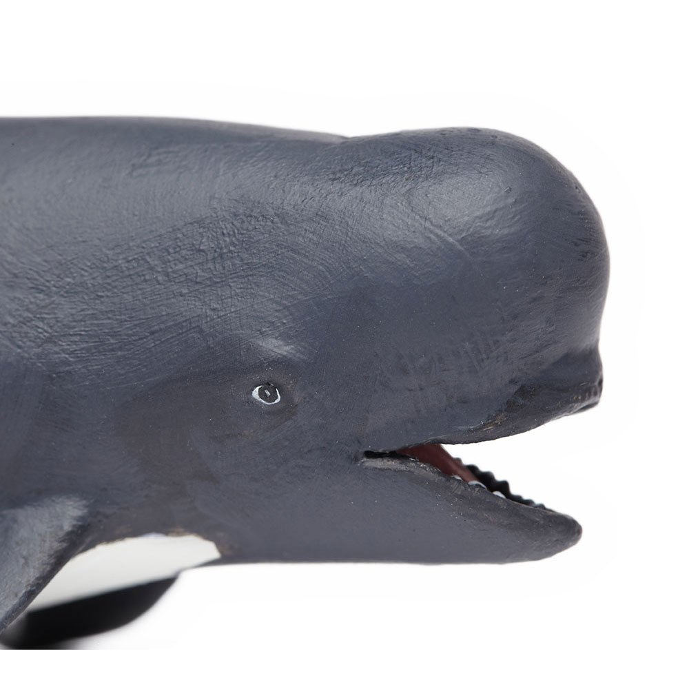 PILOT WHALE by Safari Ltd/toy/whales/NEW 2014 