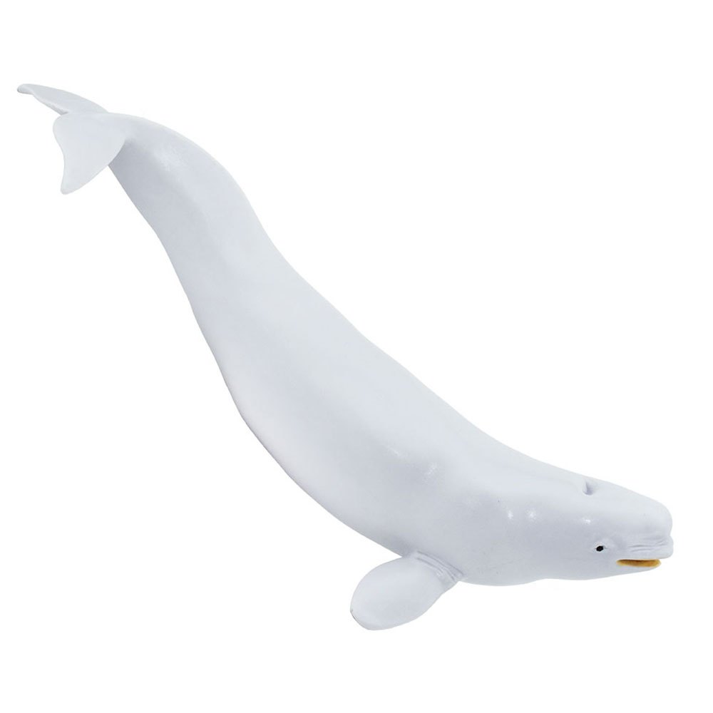 Safari ltd Figura Beluga