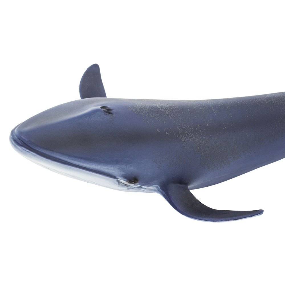 Safari ltd Blue Whale Figur