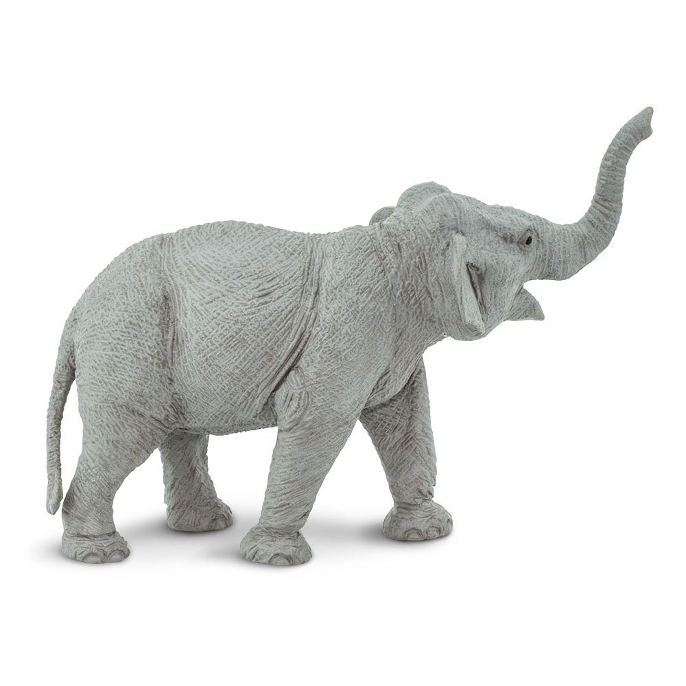 Elefante asiático mamífero detallada de Plástico Modelo Juguete por Safari Ltd 17 X 11 Cm 