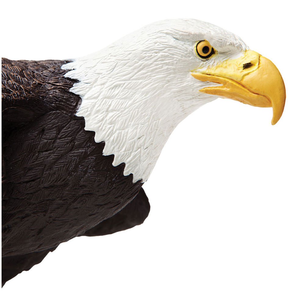 Safari ltd Figura Águila Calva