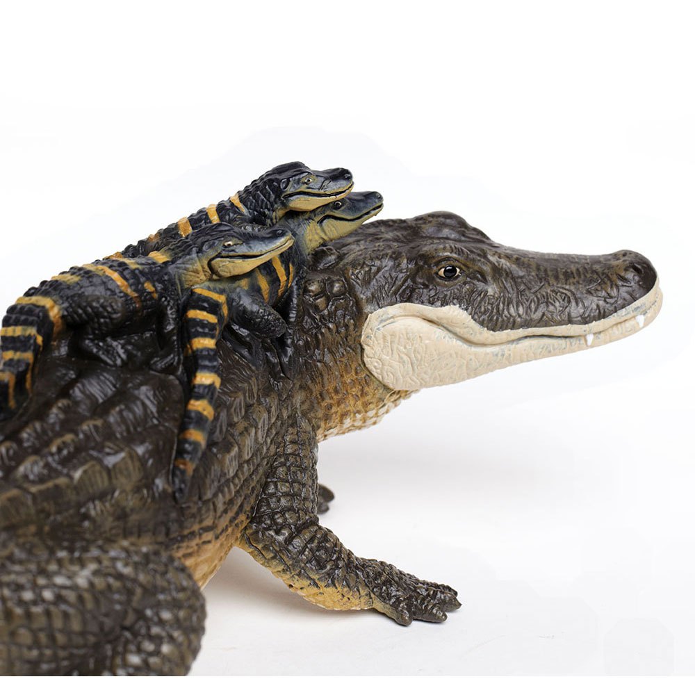 Safari ltd Alligator Mit Babyfigur