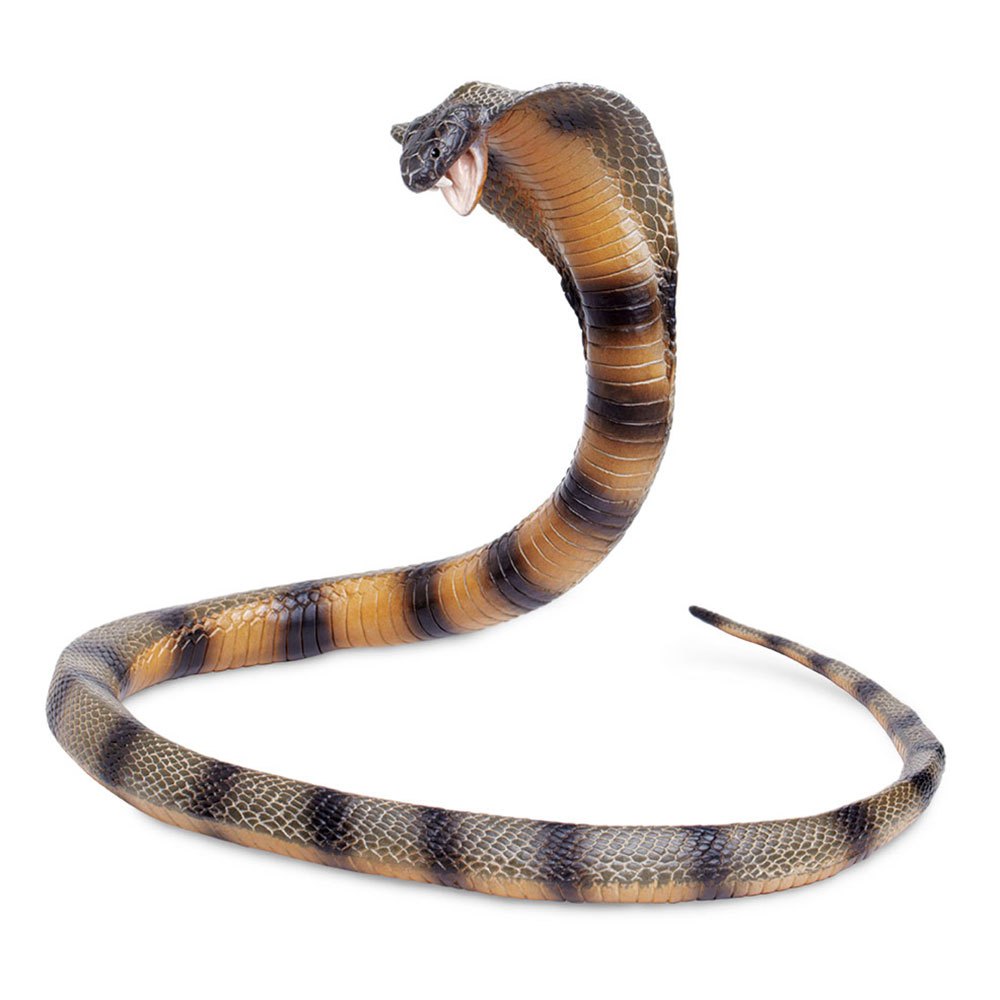 COBRA HATCHLING by Safari Ltd/ toy/ snake 