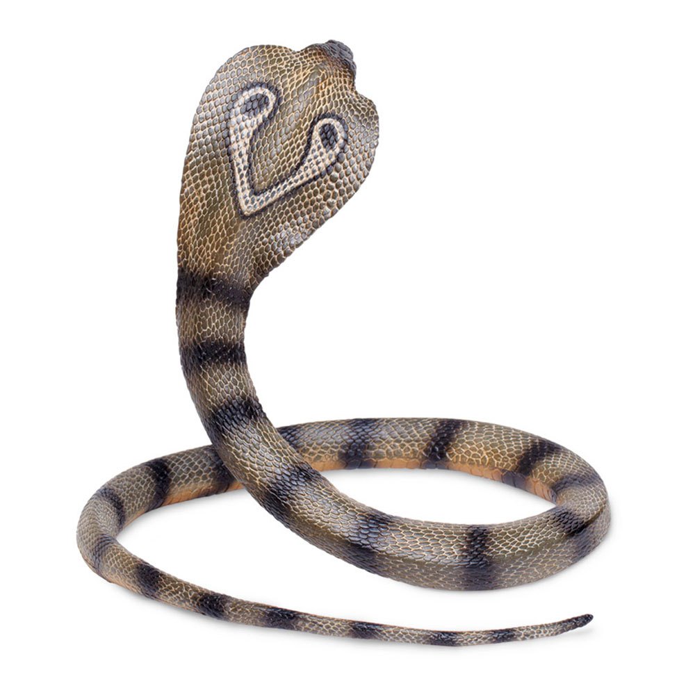 Safari ltd Chiffre Cobra