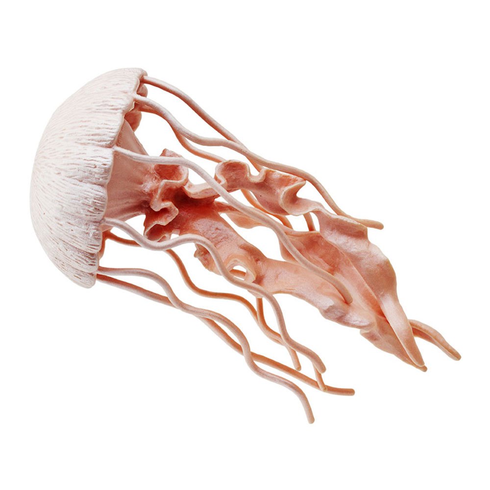 Safari ltd Karakter Jellyfish Sea Life