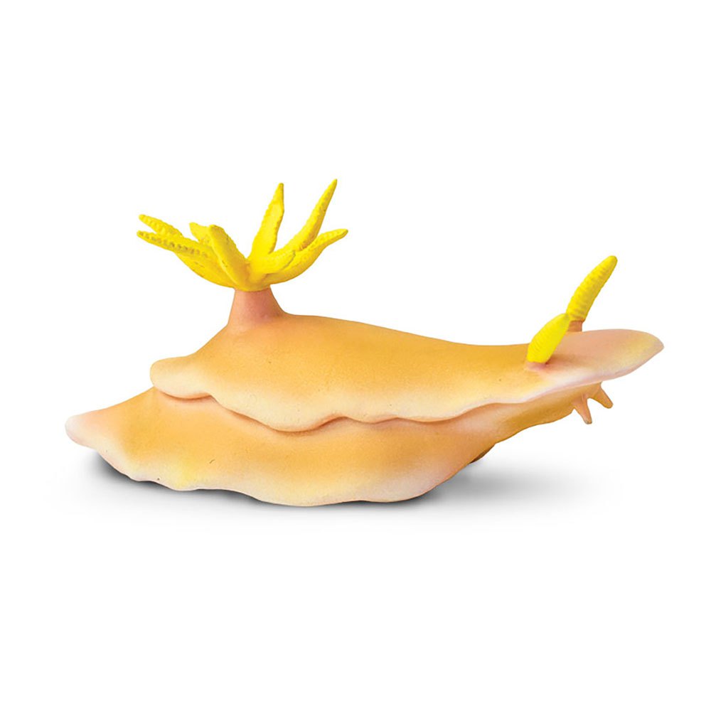 Safari ltd Nudibranch Figure