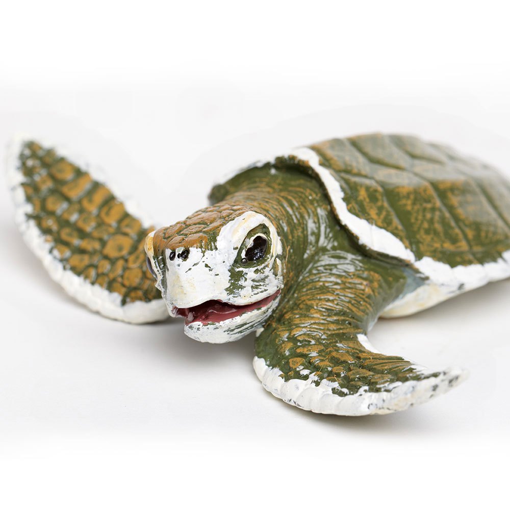 Safari ltd Kemps Ridley Sea Turtle Baby Figur