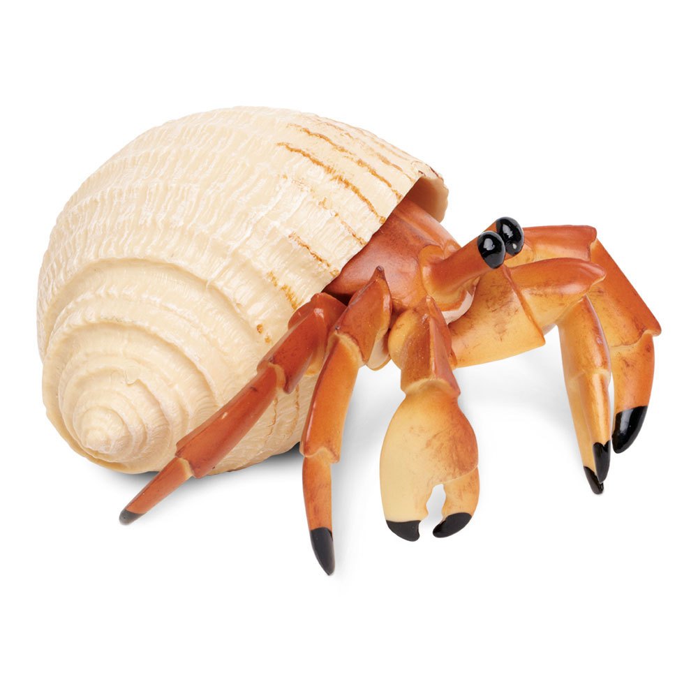 Safari ltd Hermit Crab Figure