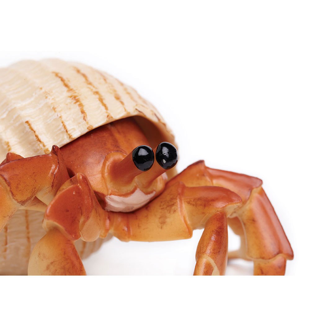 Safari ltd Hermit Crab Figur