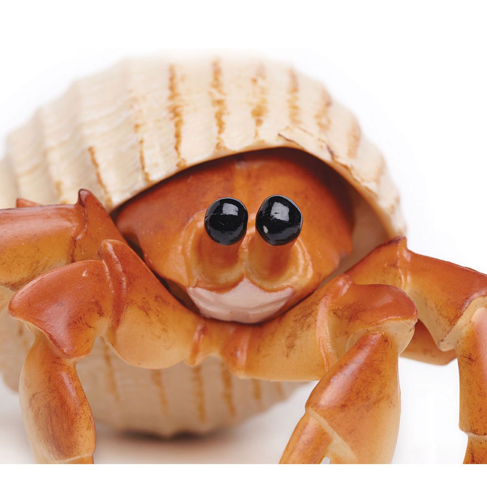 Safari ltd Figur Hermit Crab
